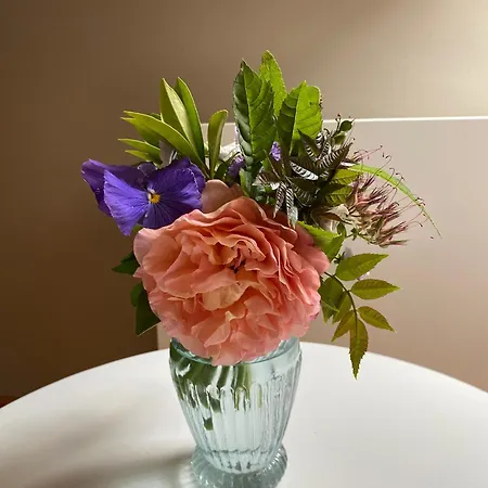 Eulennest - Wohnen In Historischem Ambiente Lägenhet Brake (Wesermarsch)